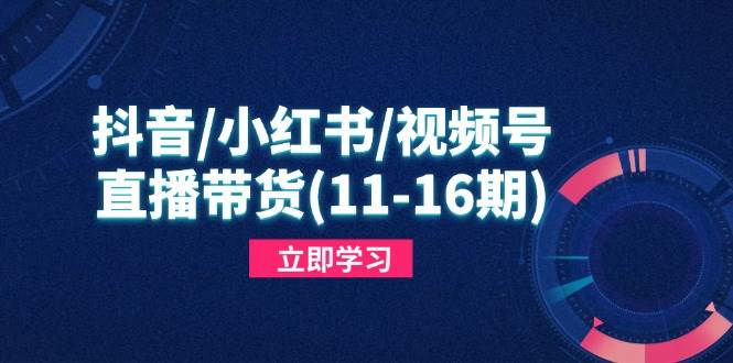 (4.30)抖音/小红书/视频号/直播带货(11-16期)，快速掌握平台规则，打造爆款内容